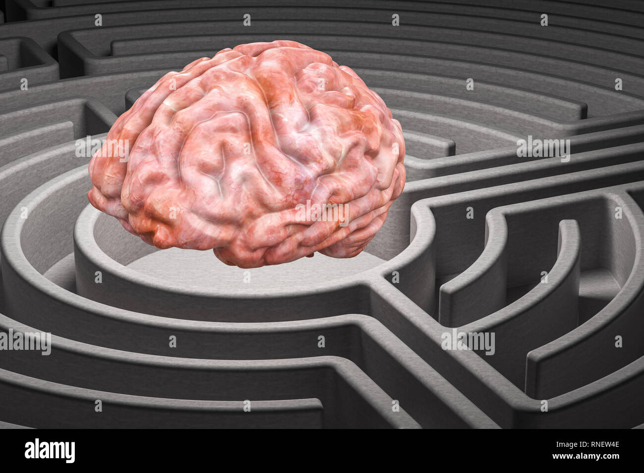 Human brain in the labyrinth maze, 3D rendering Stock Photo - Alamy