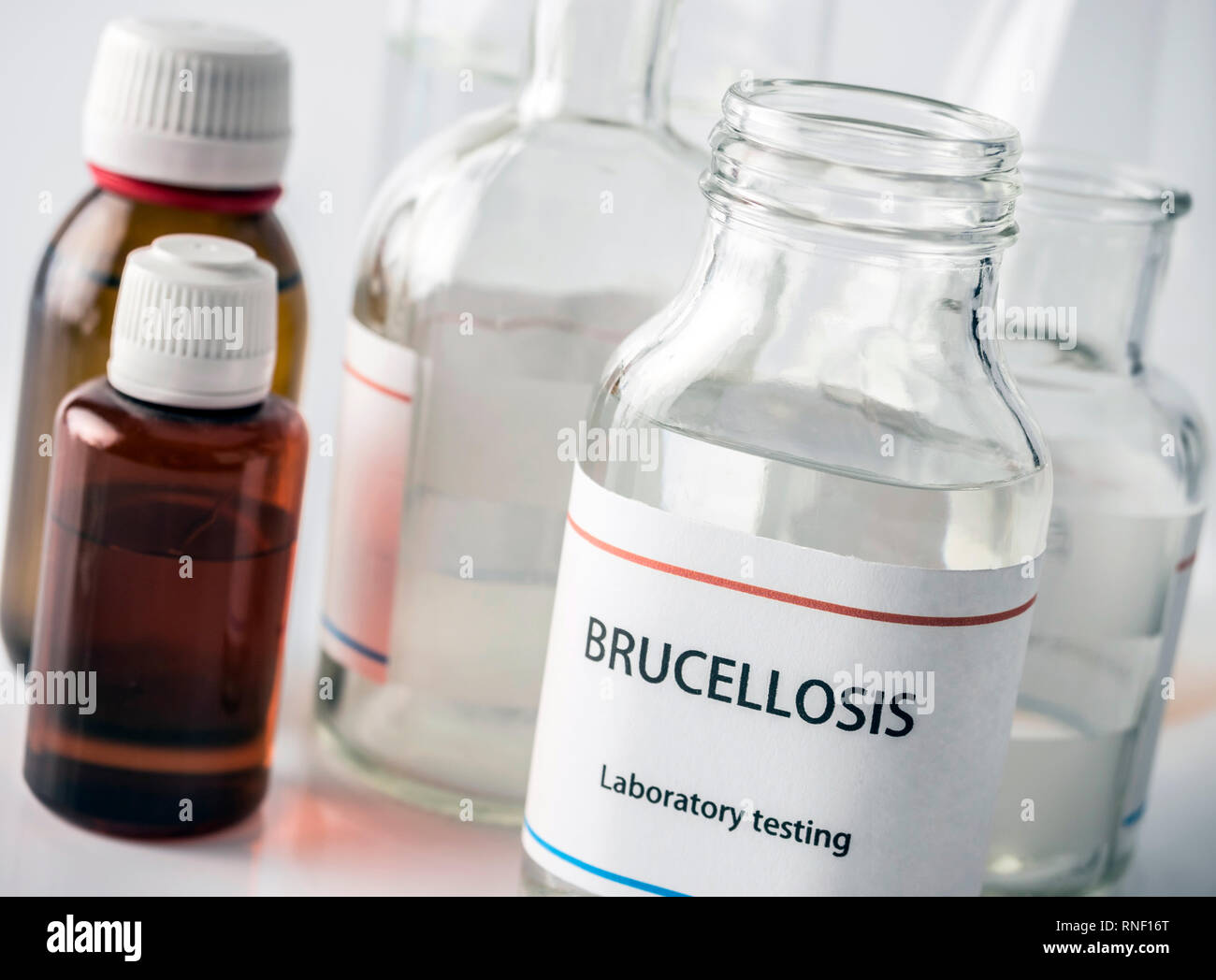 Test brucellosis in laboratory, conceptual image, composition