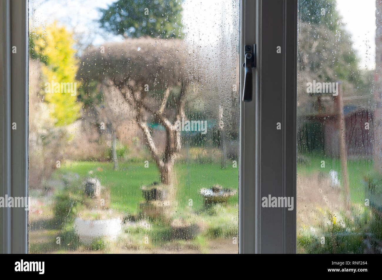 Condensation on kitchen windows between rain storms and winter garden and  elm tree lit up by raking sunshine Stock Photo - Alamy