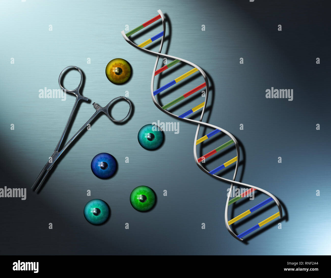 medicine. DNA strand and colorful eye balls Stock Photo Alamy