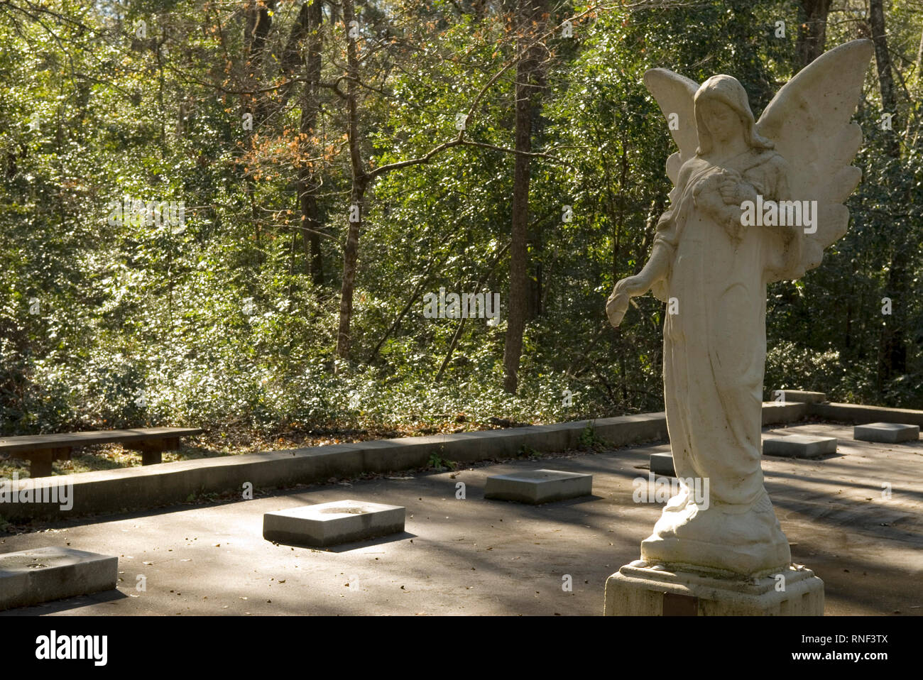 Vereen Memorial Historical Gardens Little River, South Carolina USA