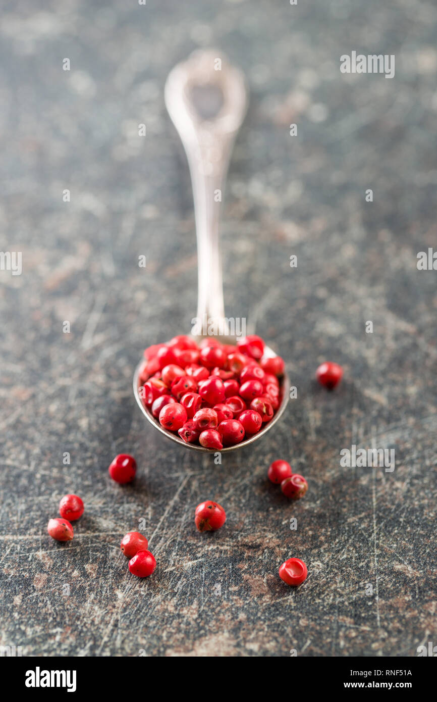 Dried pink peppercorn in spoon. Stock Photo