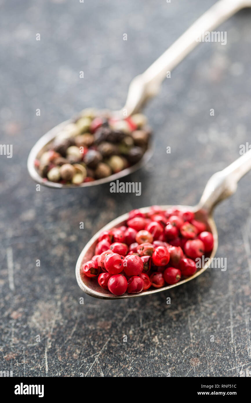 Dried pink peppercorn in spoon. Stock Photo