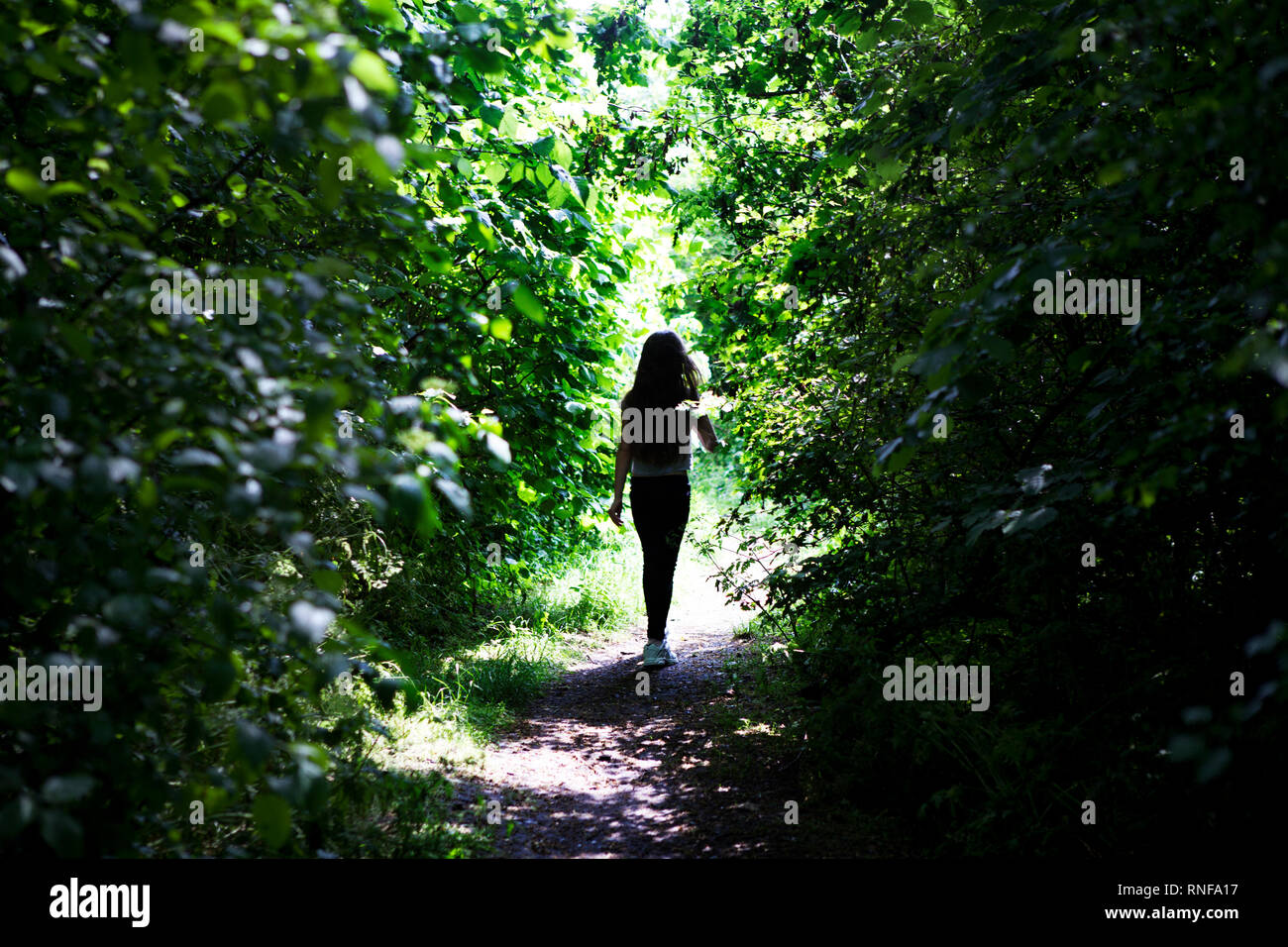 A young girl (age 8) walks along a leafy and sunlit woodland footpath away from the camera Stock Photo