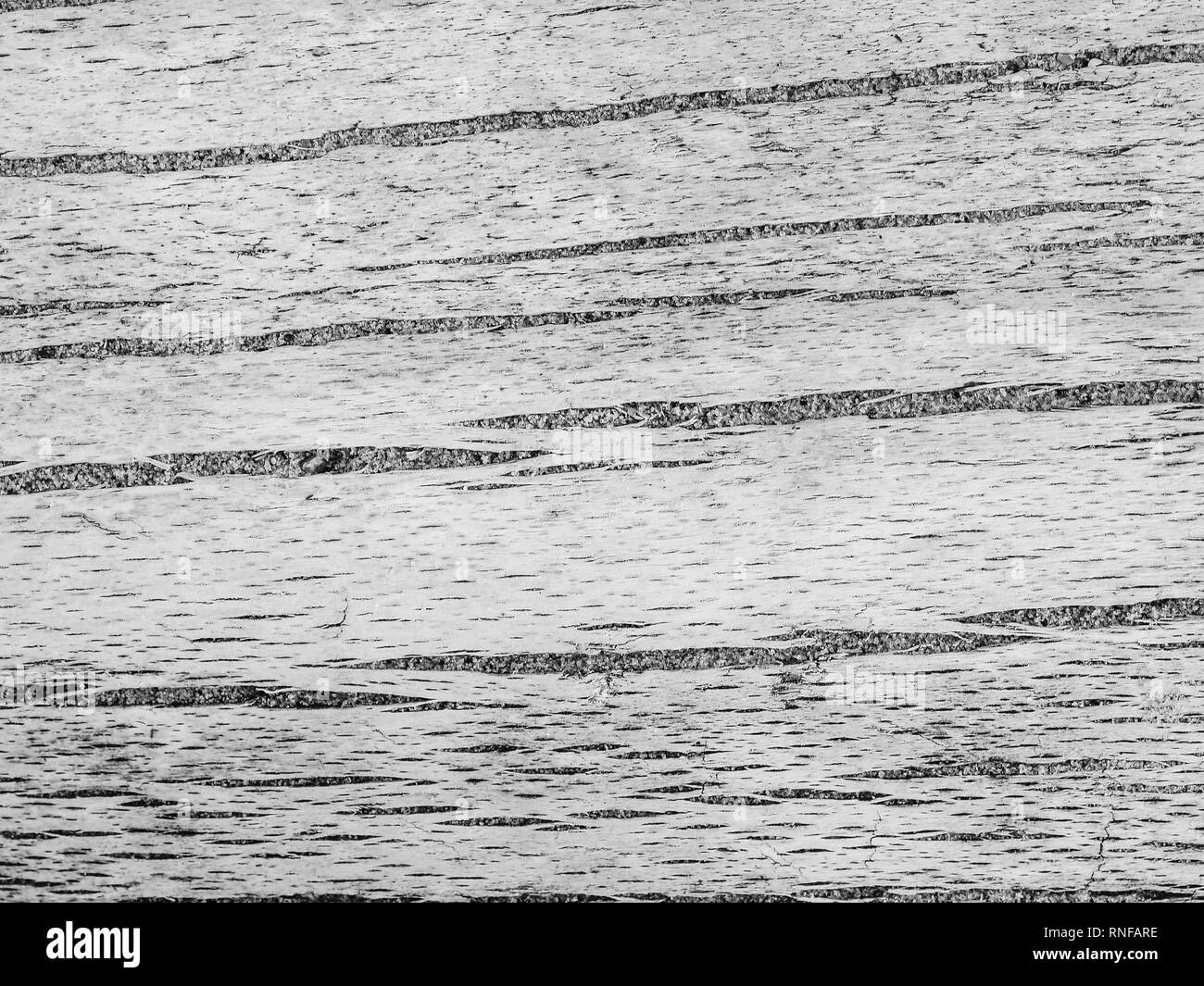 Wood grain Black and White Stock Photos & Images Alamy