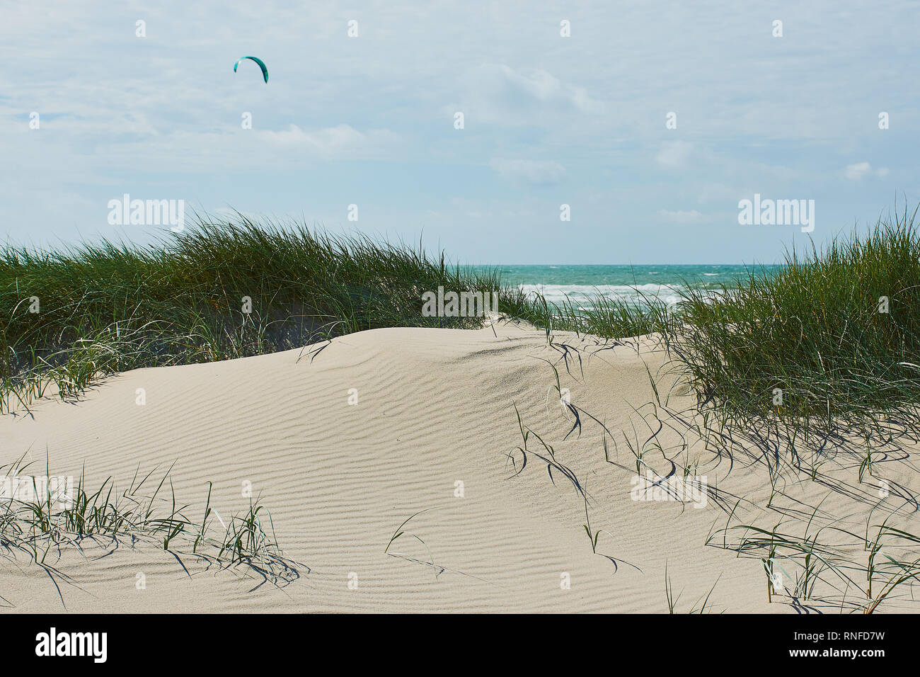 view through the marram grass and the dunes to the North Sea in Petten, North Netherlands Stock Photo