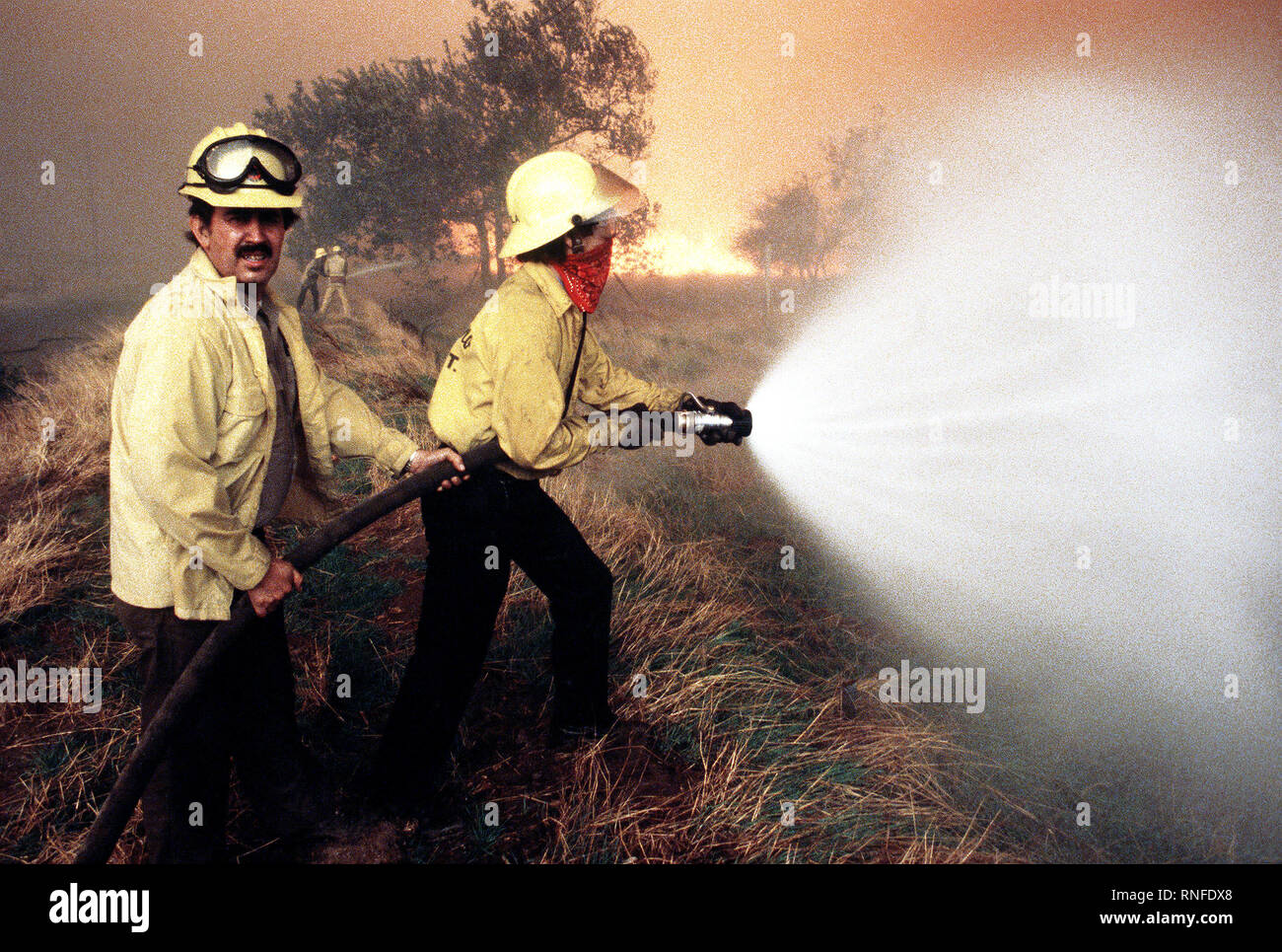 State firefighters spray water on wilderness fires with hoses during the four-day Panorama brush fire, which started in canyons north of town and has been whipped out of control by 40-50 mph winds. Stock Photo