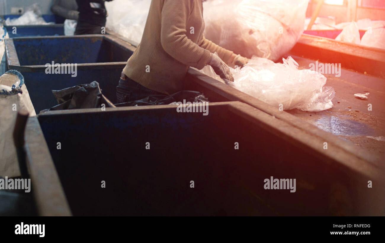 sorting and recycling of garbage, cellophane, workers sort garbage in a ...