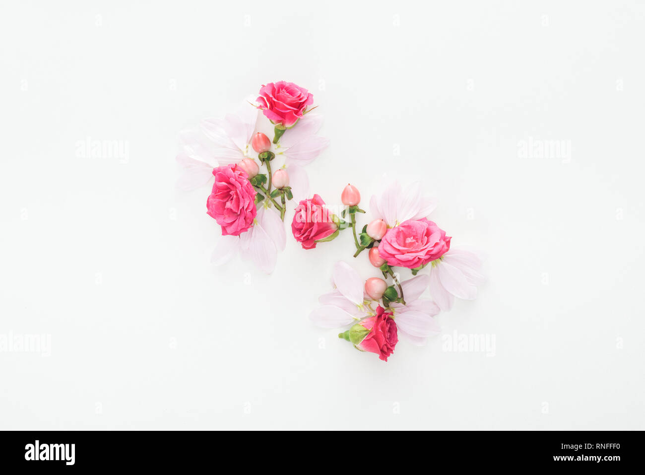 top view of composition with roses buds, berries and petals on white background Stock Photo