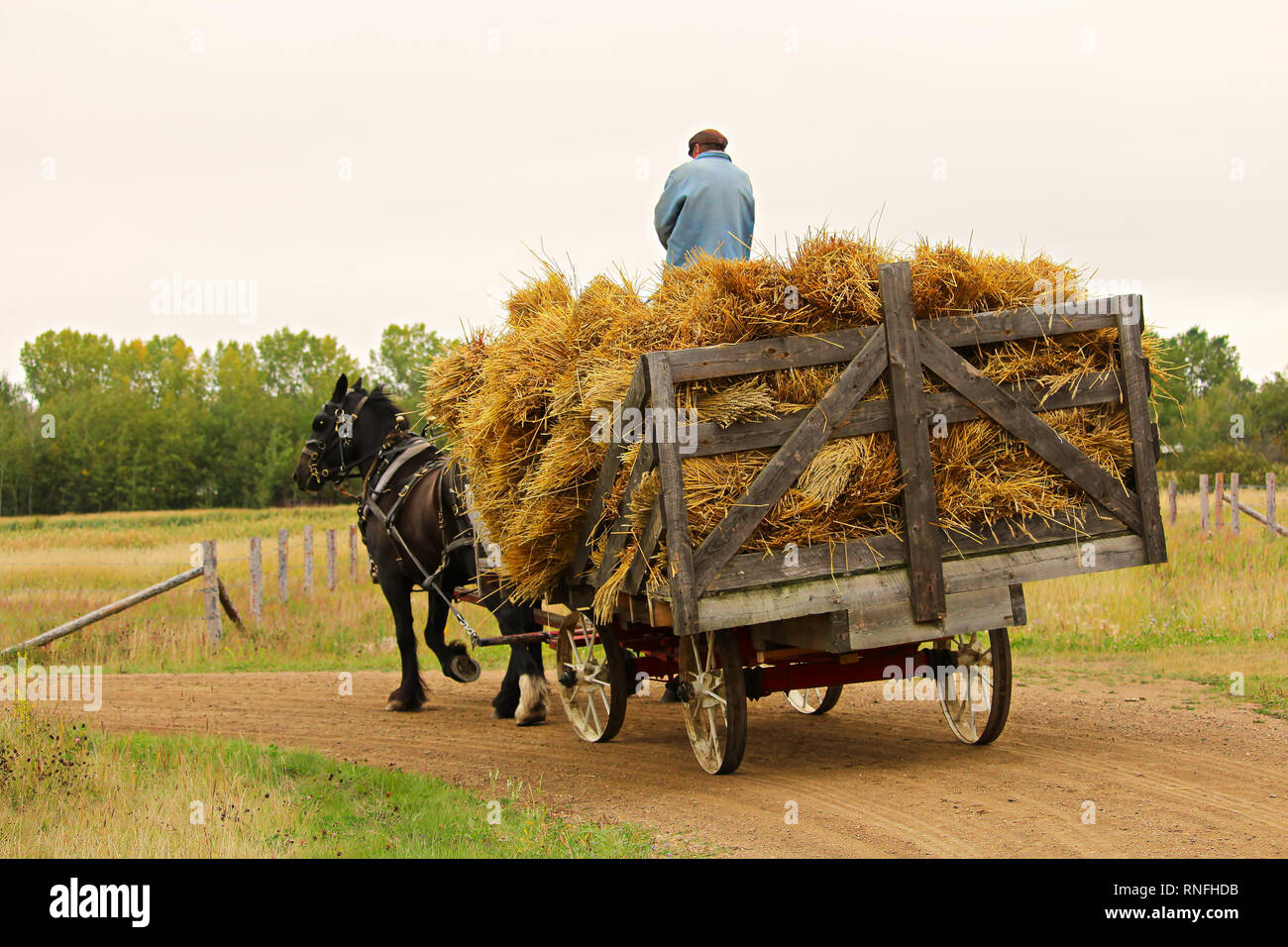 Pioneer Wagon High Resolution Stock Photography and Images Alamy