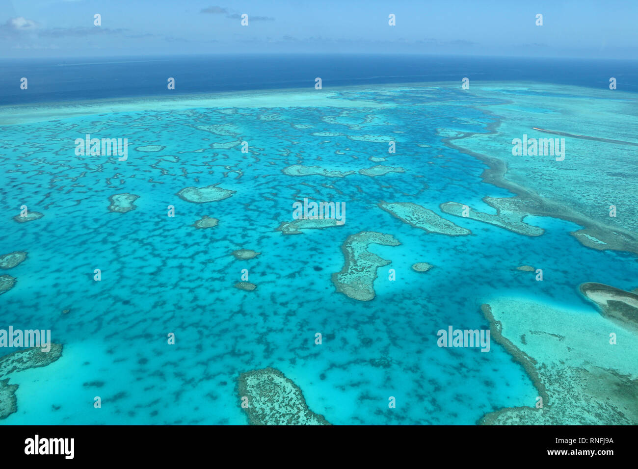 The Southern Great Barrier Reef, the Gladstone Region is home to what’s