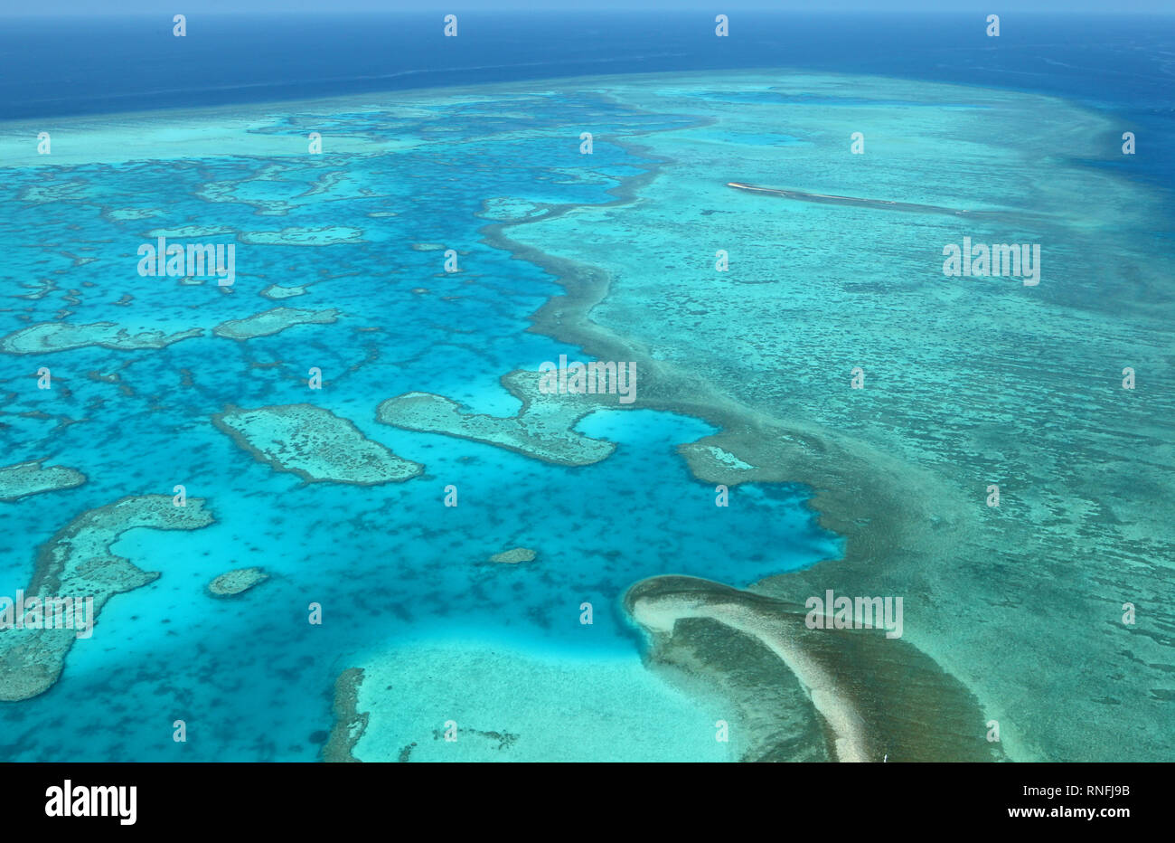 The Southern Great Barrier Reef, the Gladstone Region is home to what’s ...