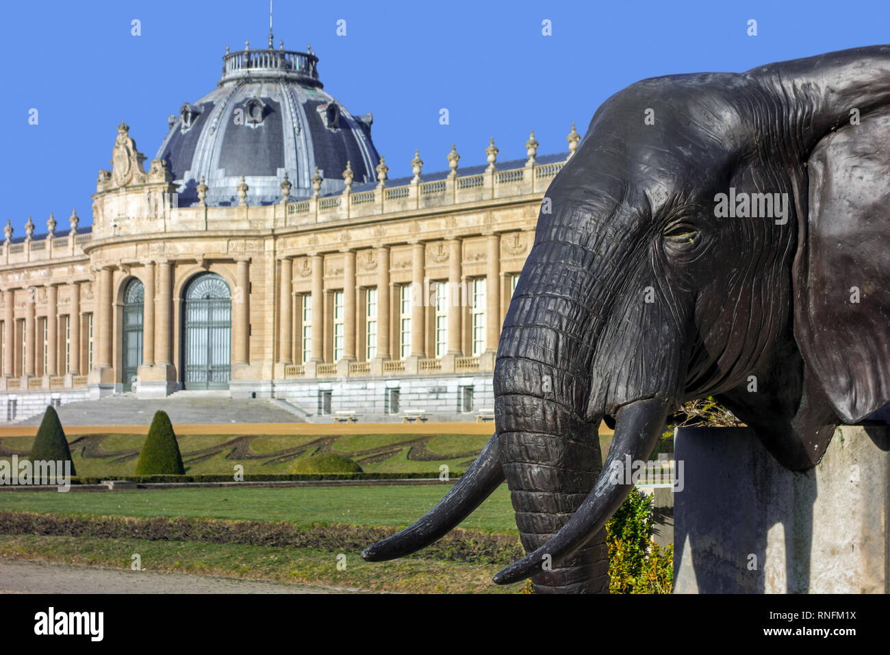 AfricaMuseum / Royal Museum for Central Africa, ethnography and natural history museum at Tervuren, Flemish Brabant, Belgium Stock Photo