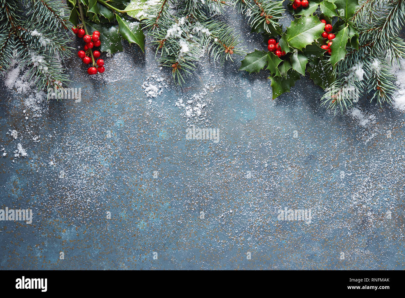 Christmas background with fir tree and holly berry on a blue stone ...