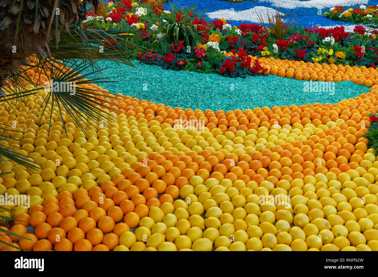 February 16th 2019 Menton, France,  the 86th LEMON FESTIVAL (les mondes fantastiques : pattern of lemons and oranges in a garden) Stock Photo