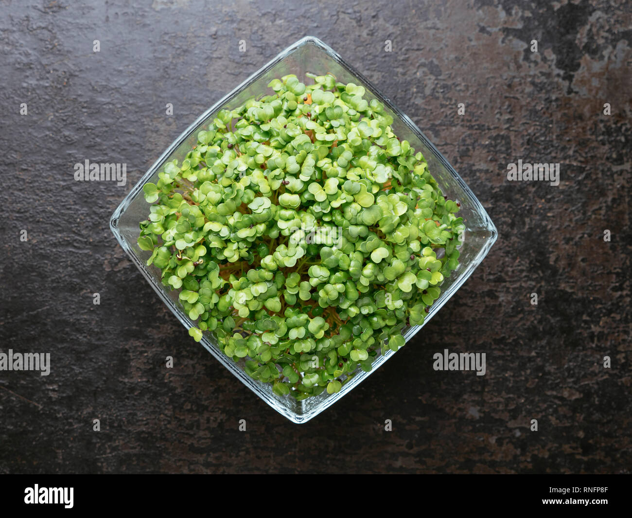 Broccoli Raab (Brassica rapa var. cymosa) sprouts Stock Photo Alamy