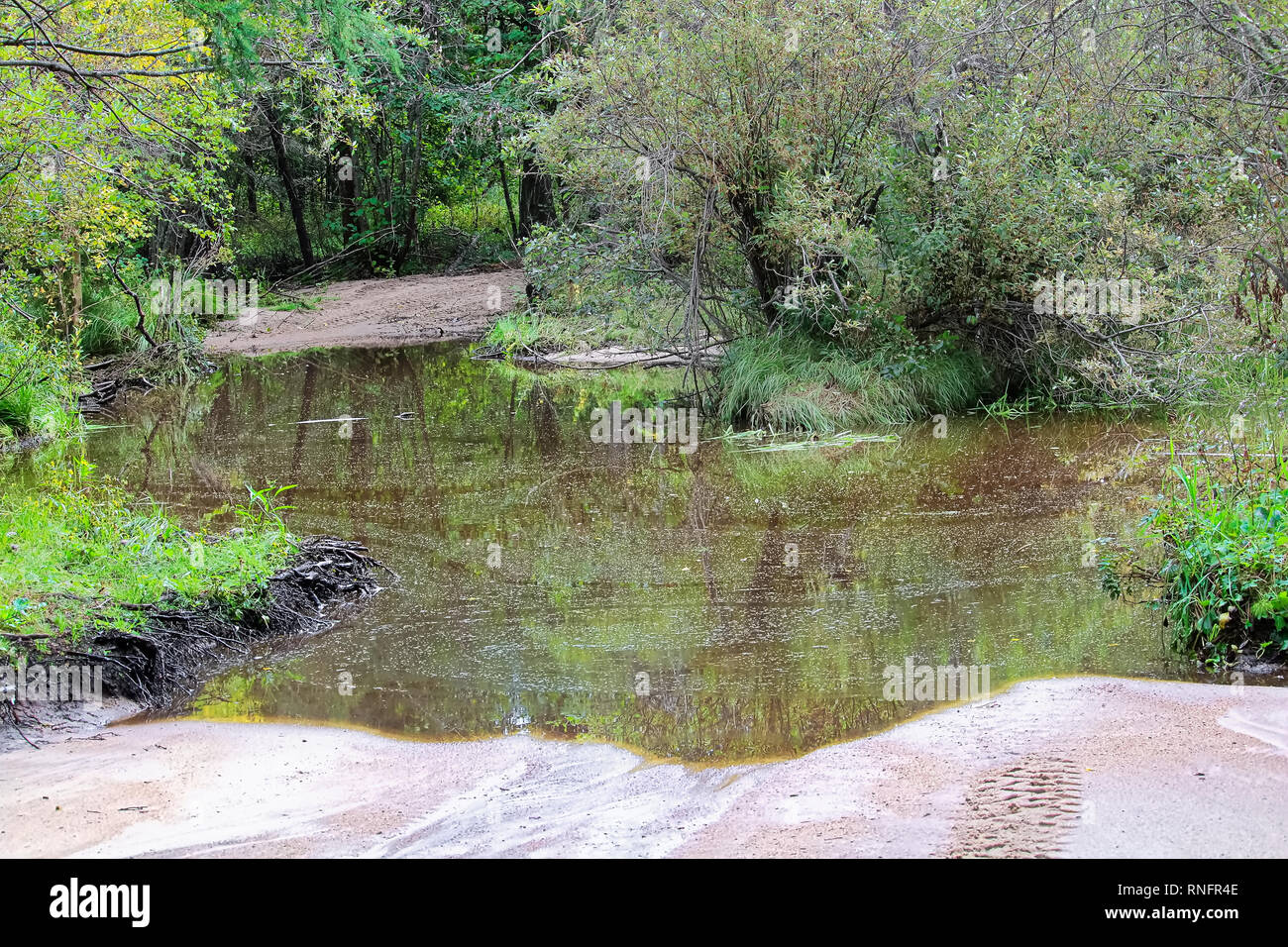 A flooded out portion of an atv trail Stock Photo