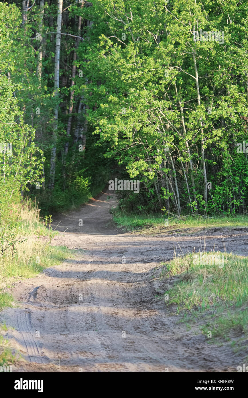 A dirt trail splitting into various directions Stock Photo