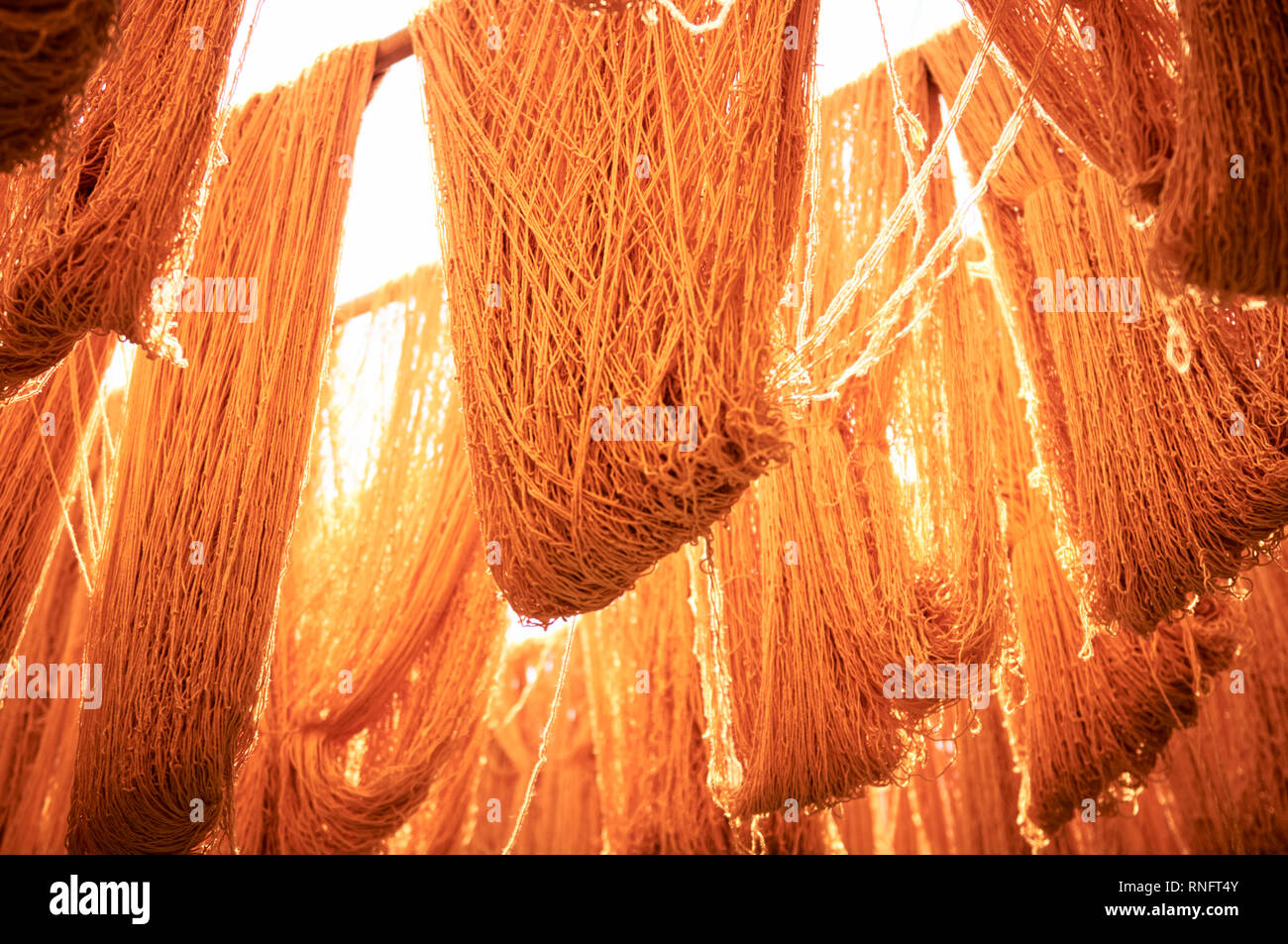 Bundles of wool string hang from bamboo poles overhead to dry in the