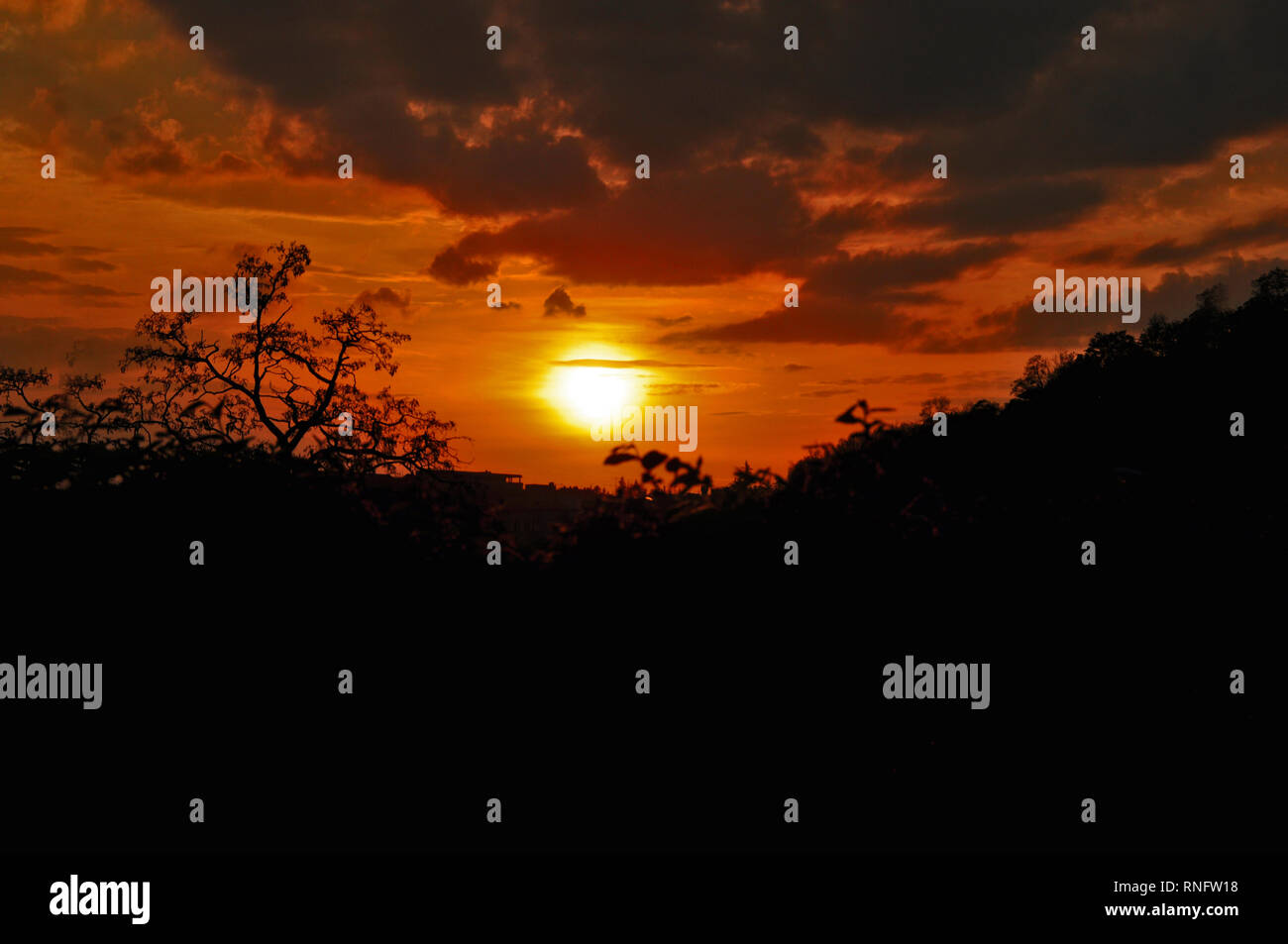 Landscape of a beautiful sunset with a silhouette of the nature in background in Safari Stock Photo