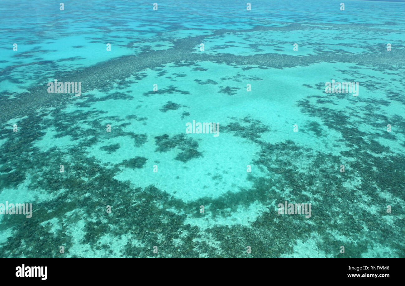 The Southern Great Barrier Reef, the Gladstone Region is home to what’s