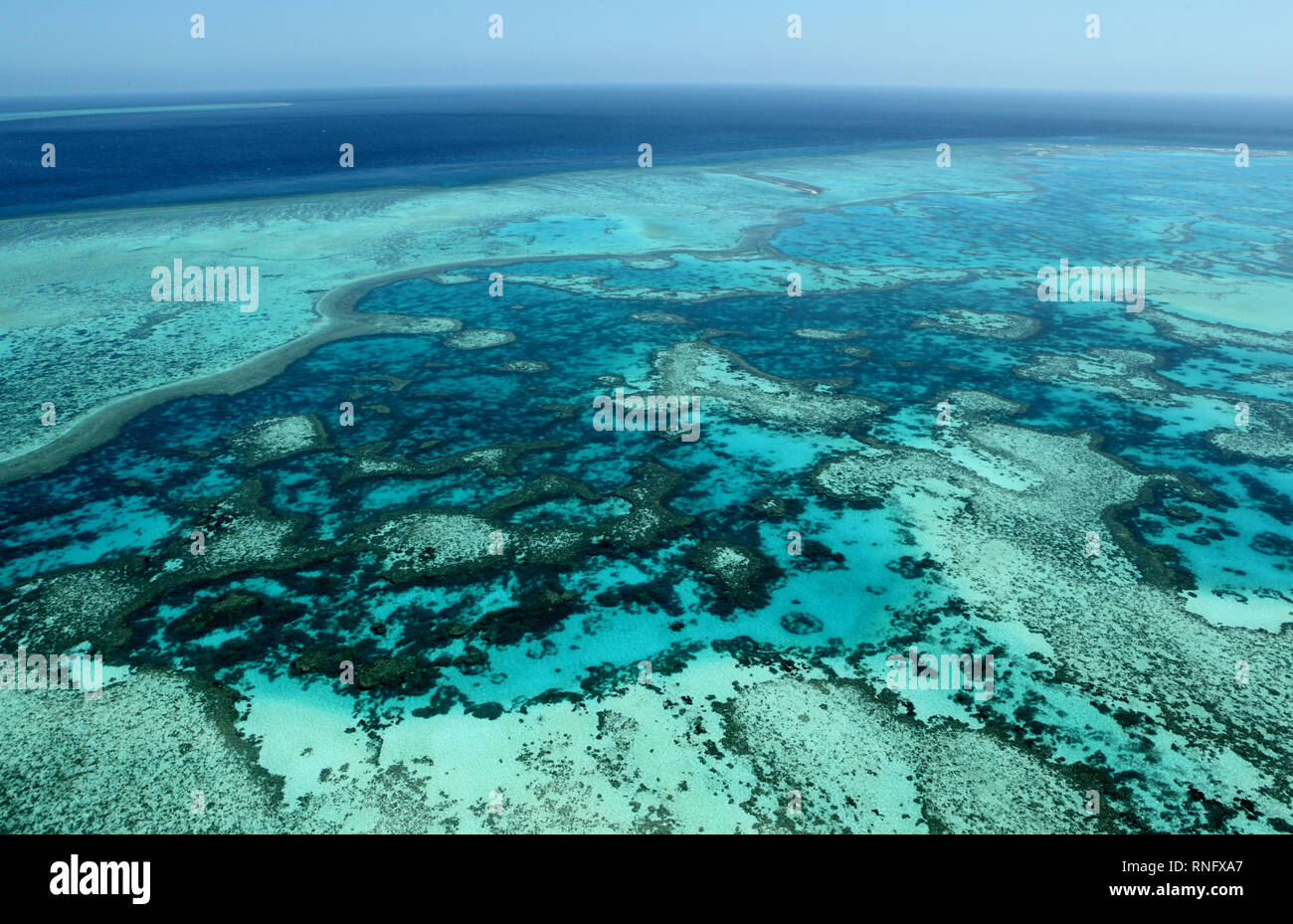 The Southern Great Barrier Reef, the Gladstone Region is home to what’s