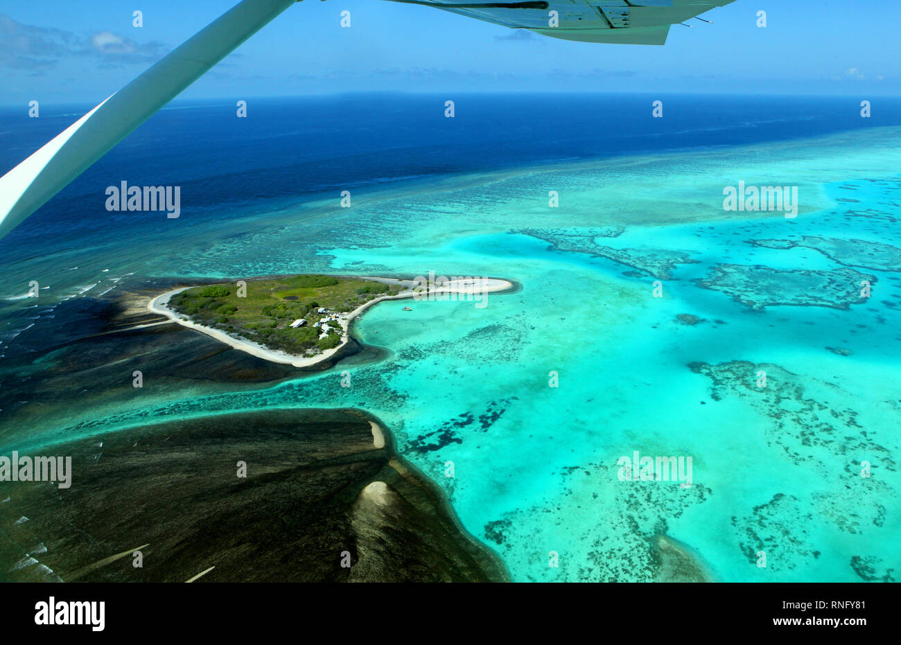 The Southern Great Barrier Reef, the Gladstone Region is home to what’s