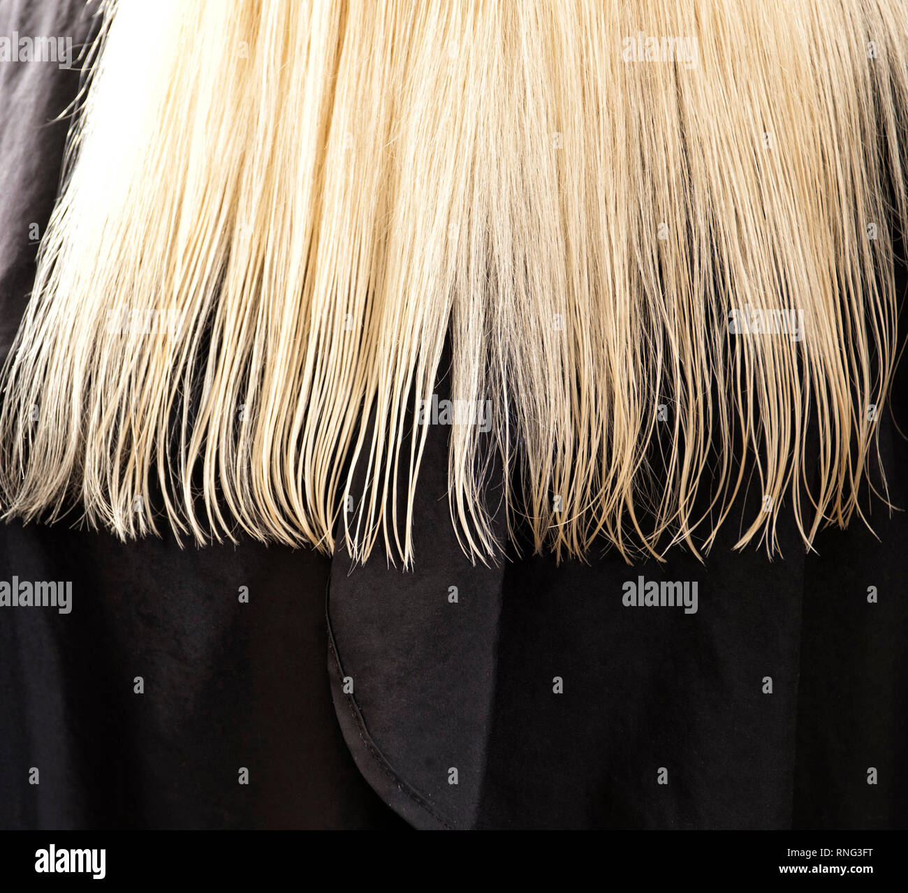 Feuchte lange, blonde Haare auf schwarzem Grund [(c) Dirk A. Friedrich Stock Photo