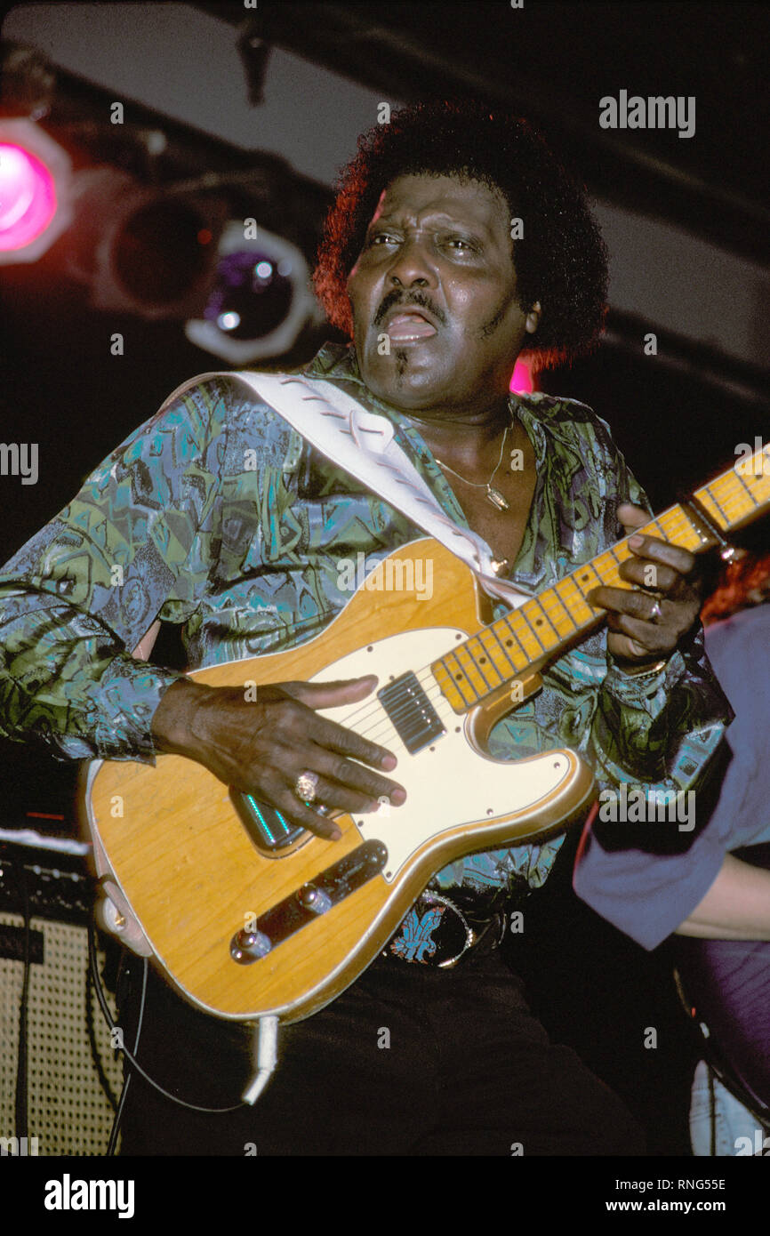  Collins Vital Blues Guitar貴重 Albert Collins Vital Blues Guitar貴重