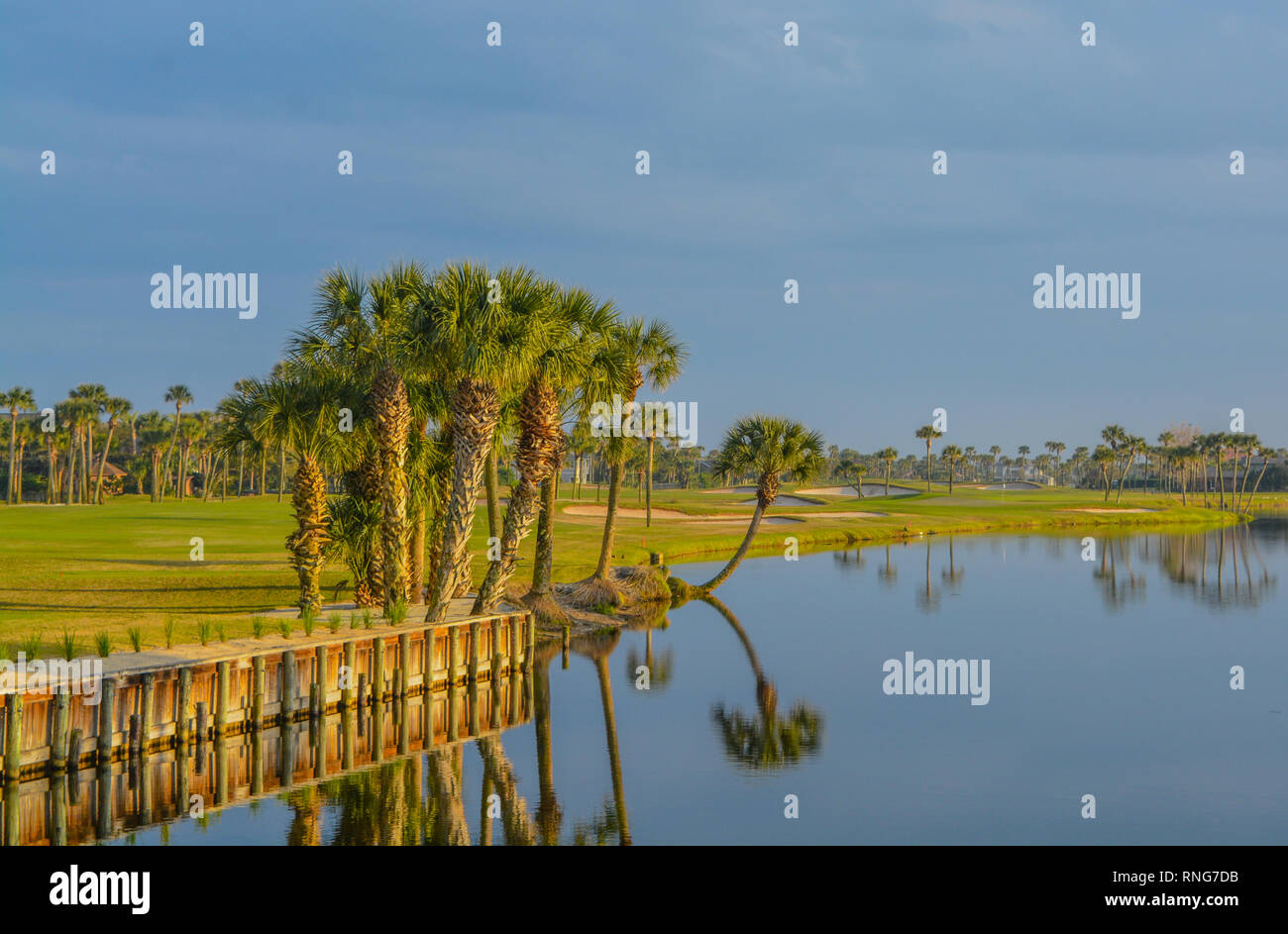 Palm trees on Lake Vedra. Ponte Vedra Beach, Florida Stock Photo Alamy