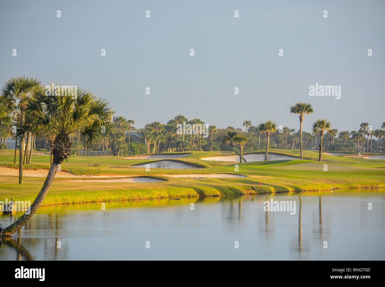 Palm trees on Lake Vedra. Ponte Vedra Beach, Florida Stock Photo Alamy