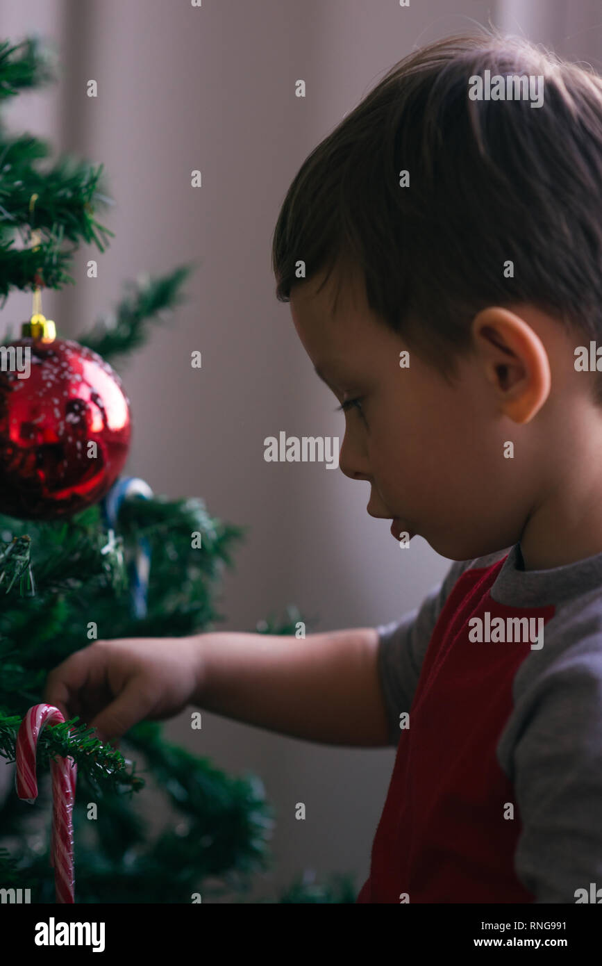 Cute kid is decorating his family Christmas tree while spreading the