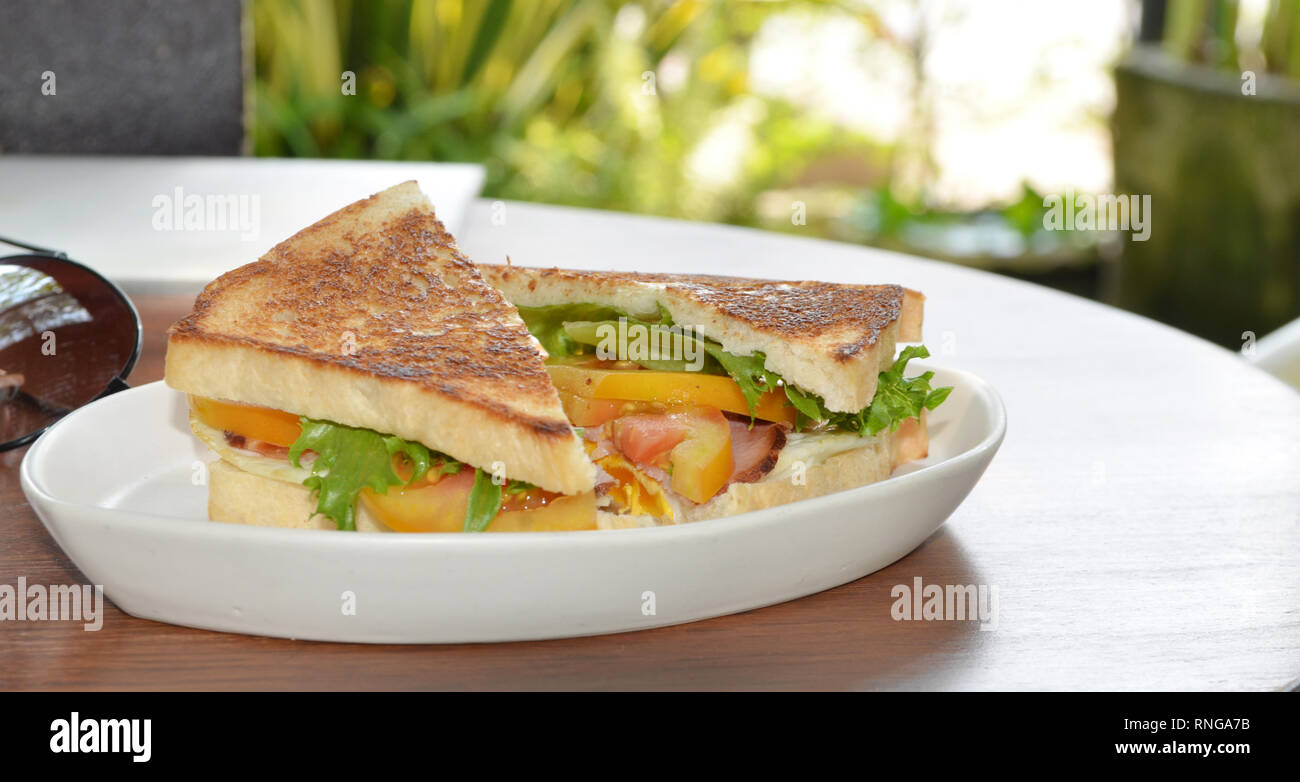 Toasted sandwich with pastrami and cheese Stock Photo Alamy