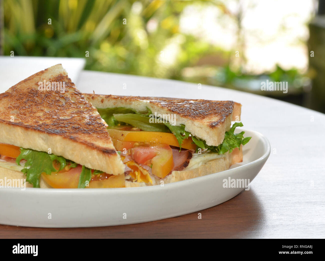 Toasted sandwich with pastrami and cheese Stock Photo Alamy