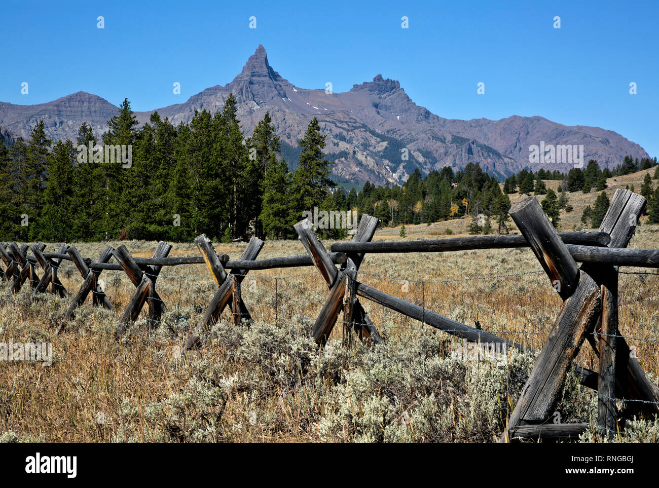 WY03785-00...WYOMING - Traditional pole fence line along the Beartooth Scenic Byway with Pilot Peak in the distance in the Shoshone National Forest. Stock Photo