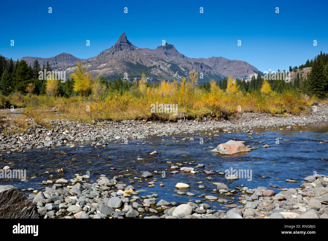 WYOMING - Fall color along the banks of the Clark Fork of the Yellowstone River with Pilot and Index Peaks beyond, in the Shoshone National Forest. Stock Photo
