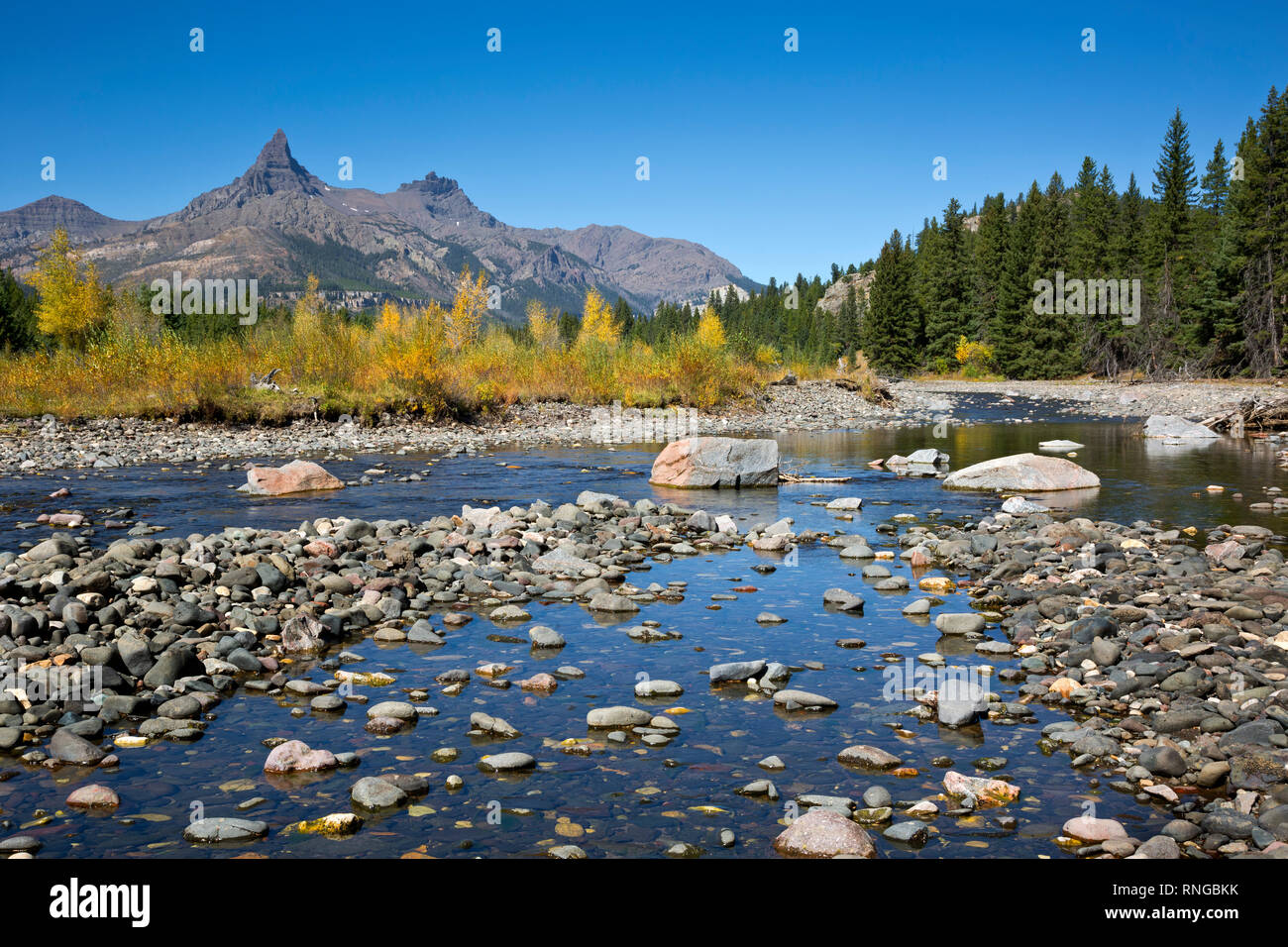 WYOMING - Fall color along the banks of the Clark Fork of the Yellowstone River with Pilot and Index Peaks beyond, in the Shoshone National Forest. Stock Photo