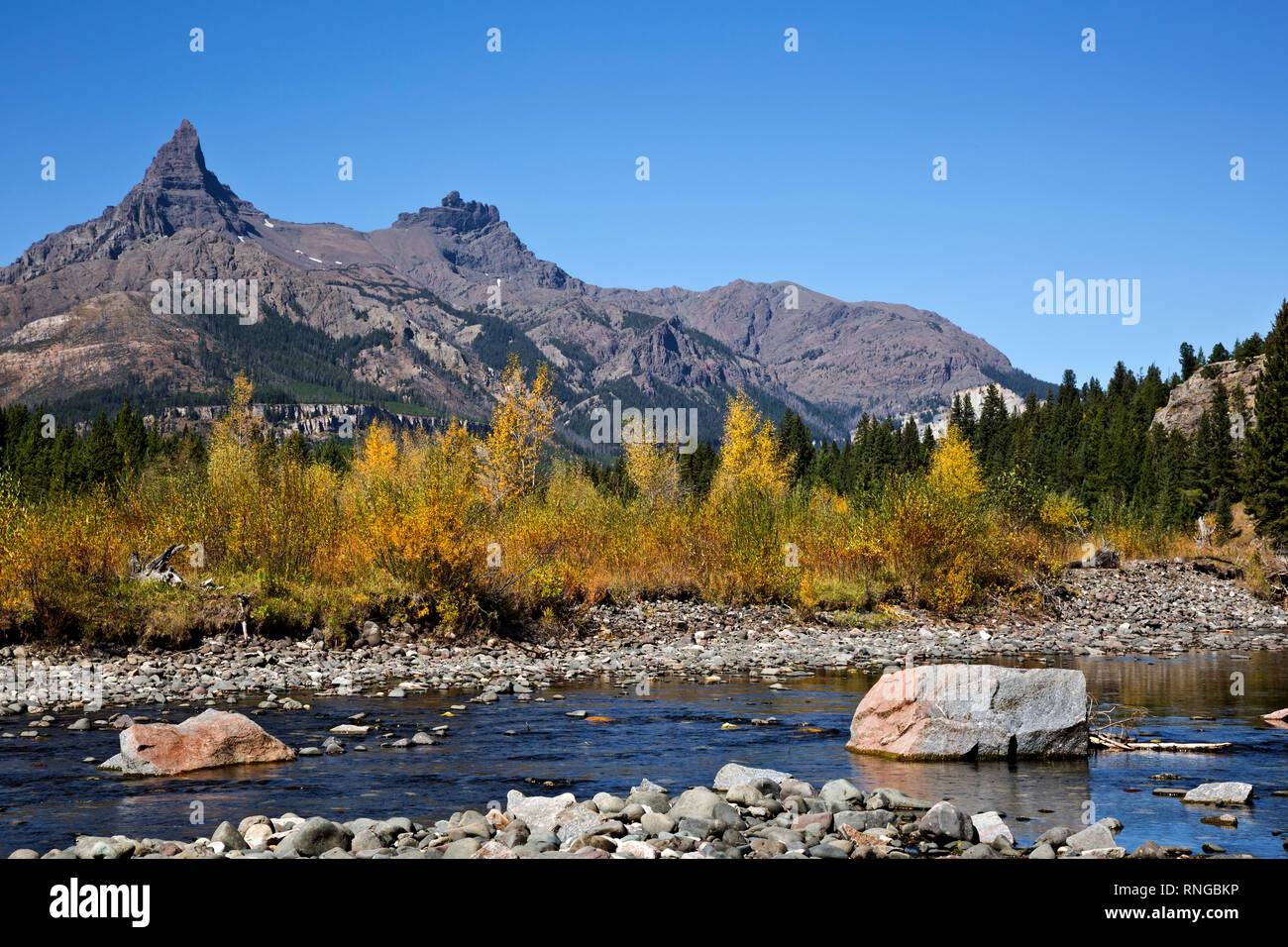 WYOMING - Fall color along the banks of the Clark Fork of the Yellowstone River below Pilot and Index Peaks, in the Shoshone National Forest. Stock Photo