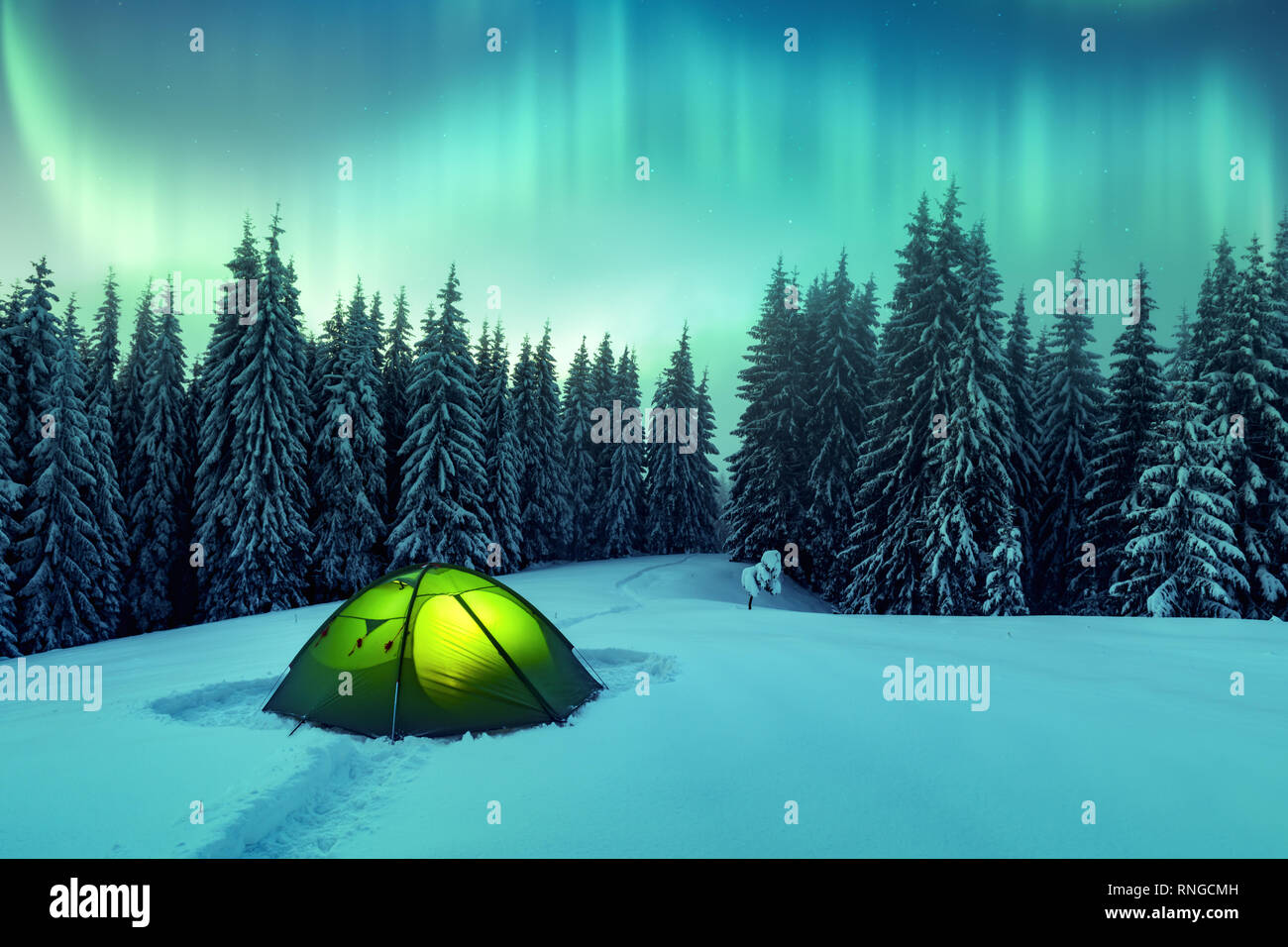 Aurora borealis. Northern lights in winter forest. Sky with polar lights and stars. Night winter landscape with aurora, green tent and pine tree forest. Travel concept Stock Photo