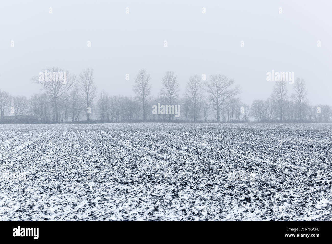 Snowy soil on agriculture field on spring time Stock Photo