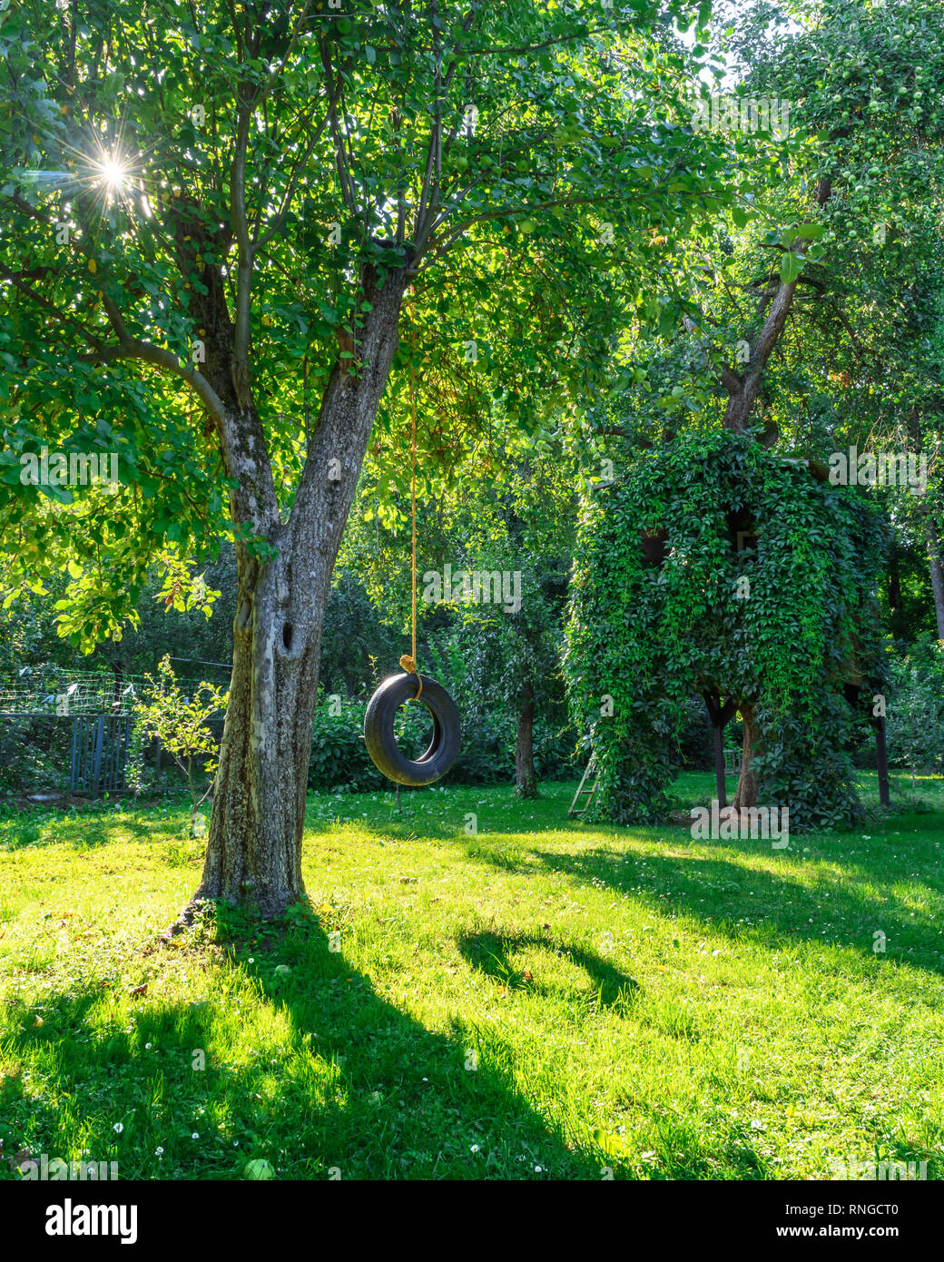 House on tree in green spring garden. Childhood home concept Stock Photo