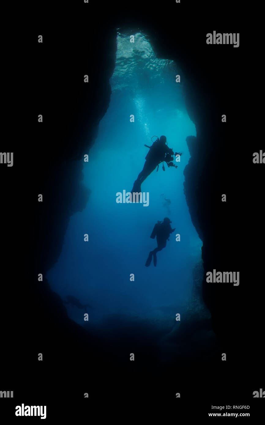 underwater photographer silhouette Stock Photo - Alamy