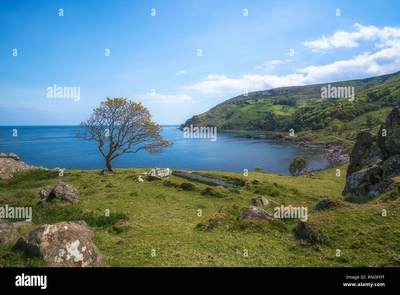 Little visited Murlough Bay is considered one of the most beautiful bays along the Antrim coast of Northern Ireland, with excellent views all around. Stock Photo