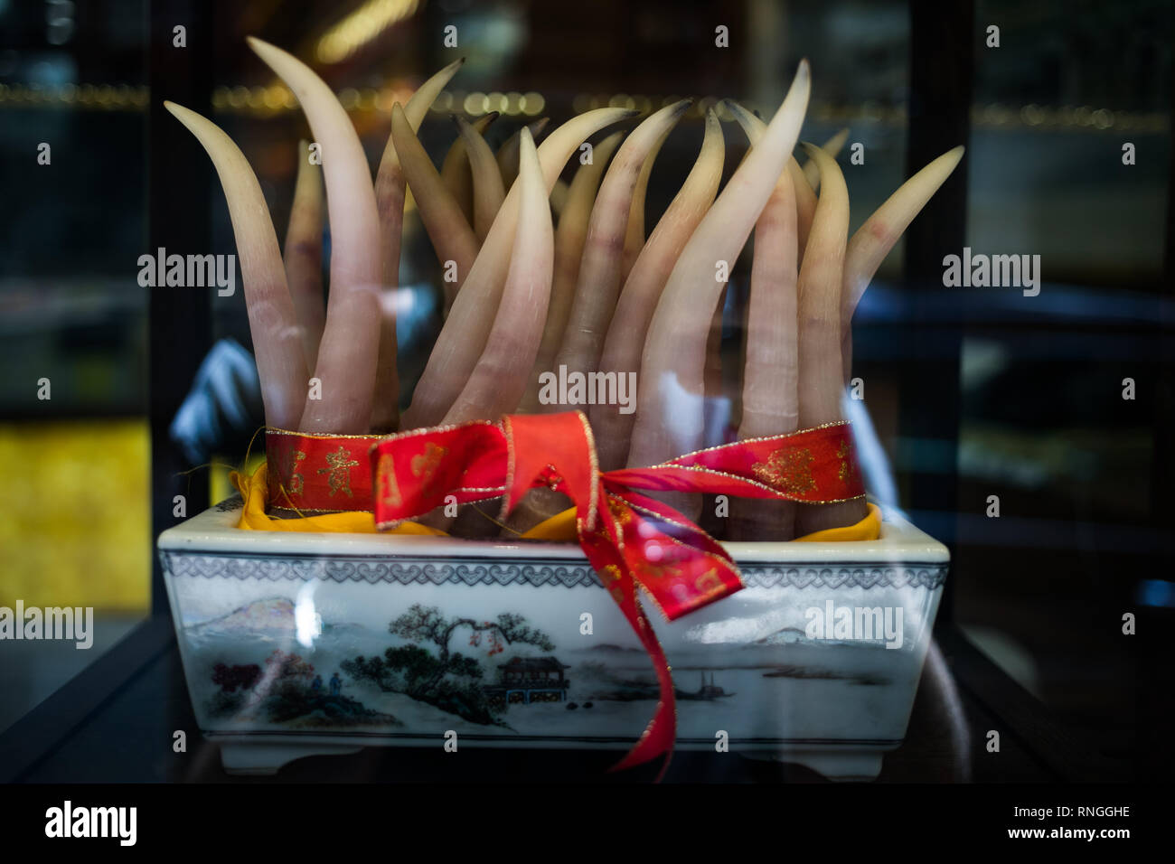 Traditional chinese medicine hong kong hi-res stock photography and ...