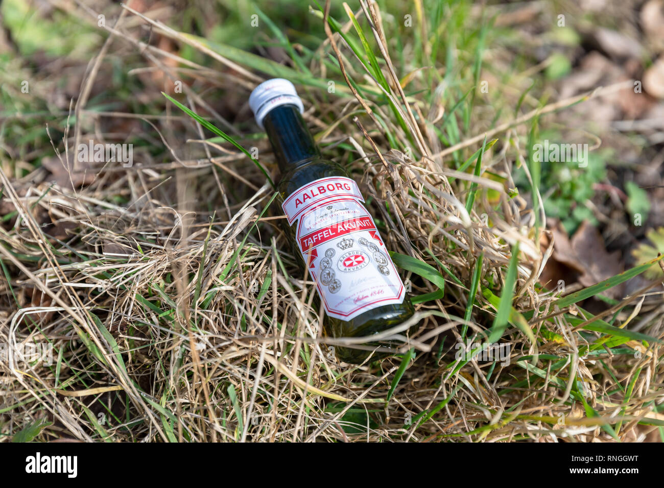 Rød Aalborg ('Red Aalborg'), Taffel Akvavit, small aquavit bottle thrown in the grass by the side of the road; Saeby, Denmark Stock Photo