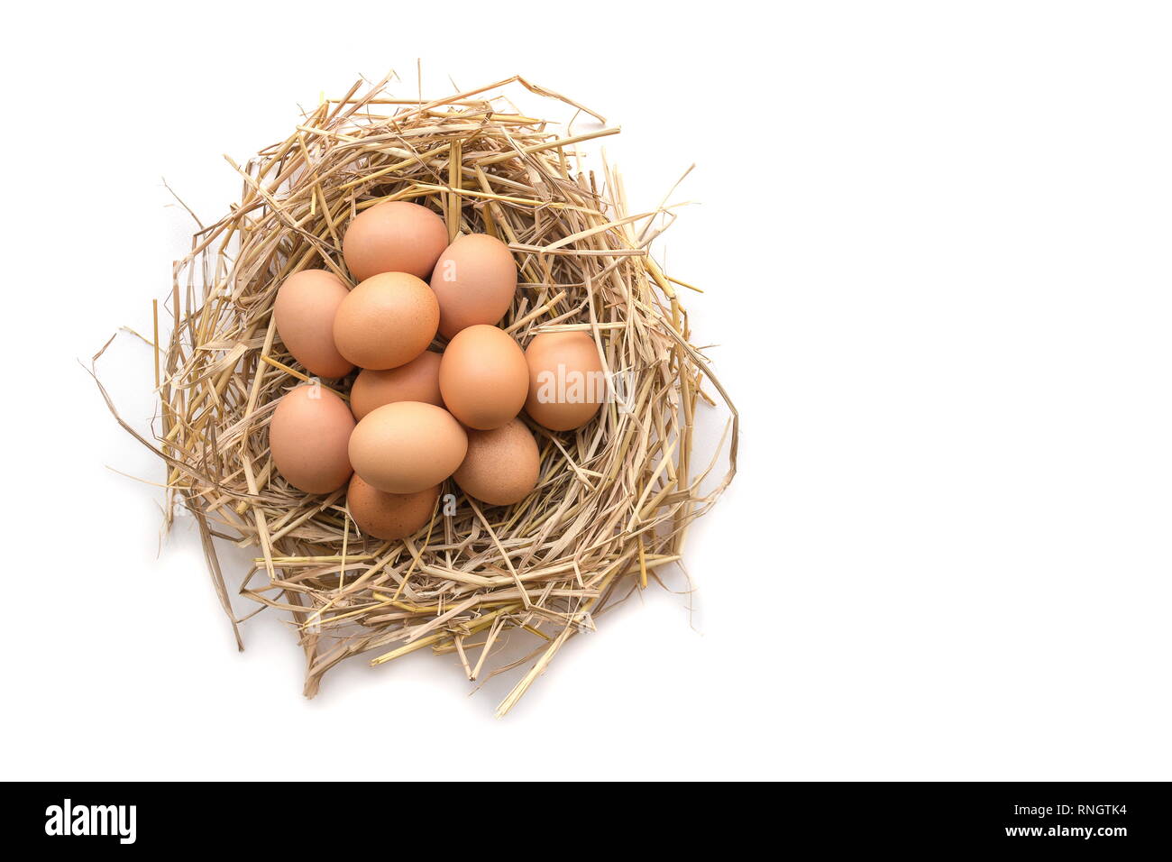 Top view of brown eggs in a nest on a white background, image with copy ...
