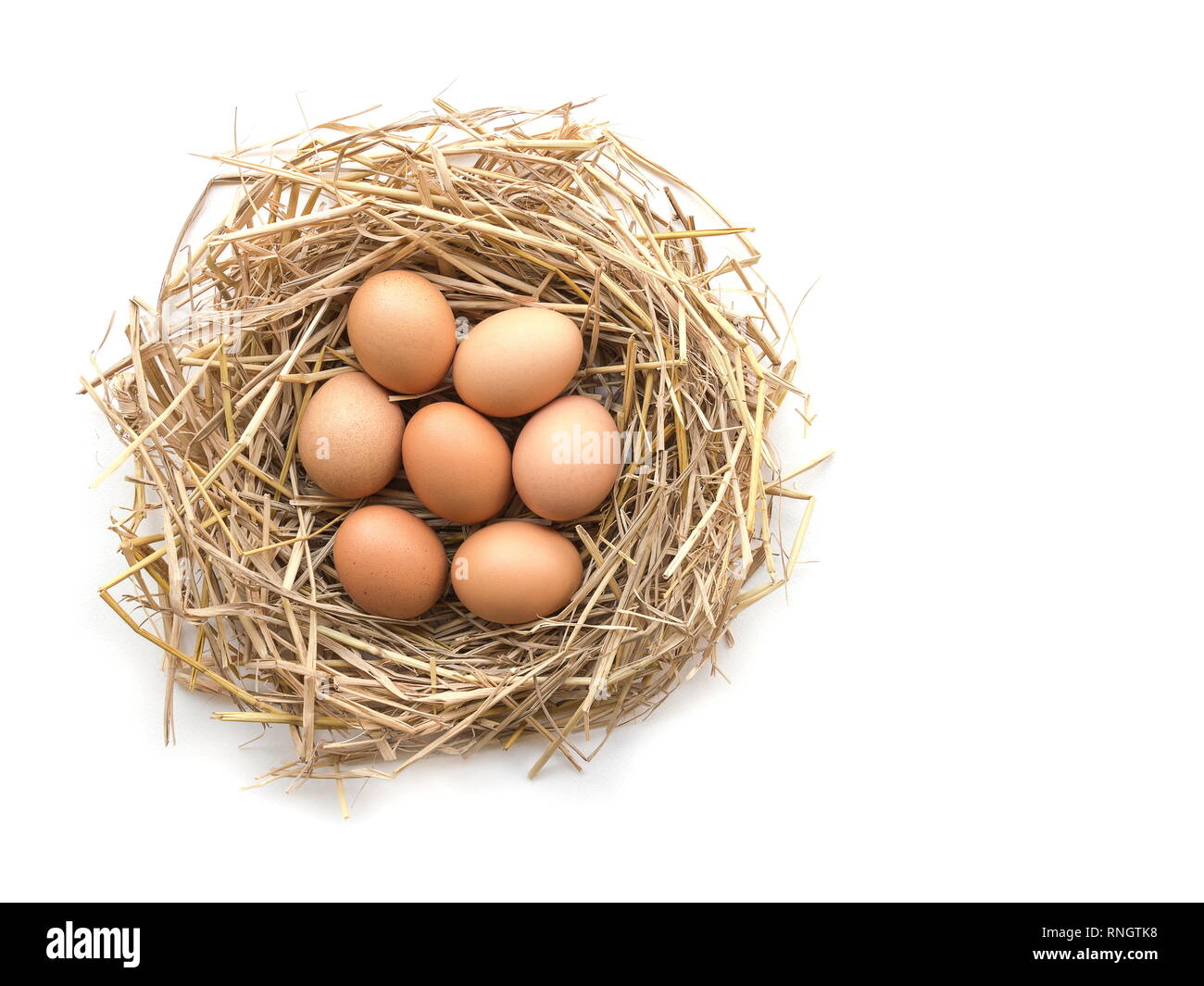 Top view of brown eggs in a nest on a white background, image with copy ...