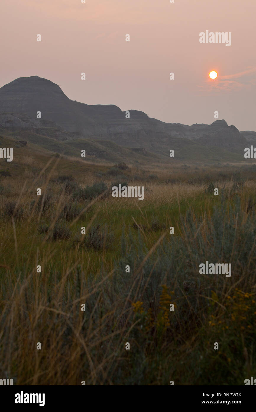 Dinosaur Provincial Park, Newell County, Alberta, Canada Stock Photo