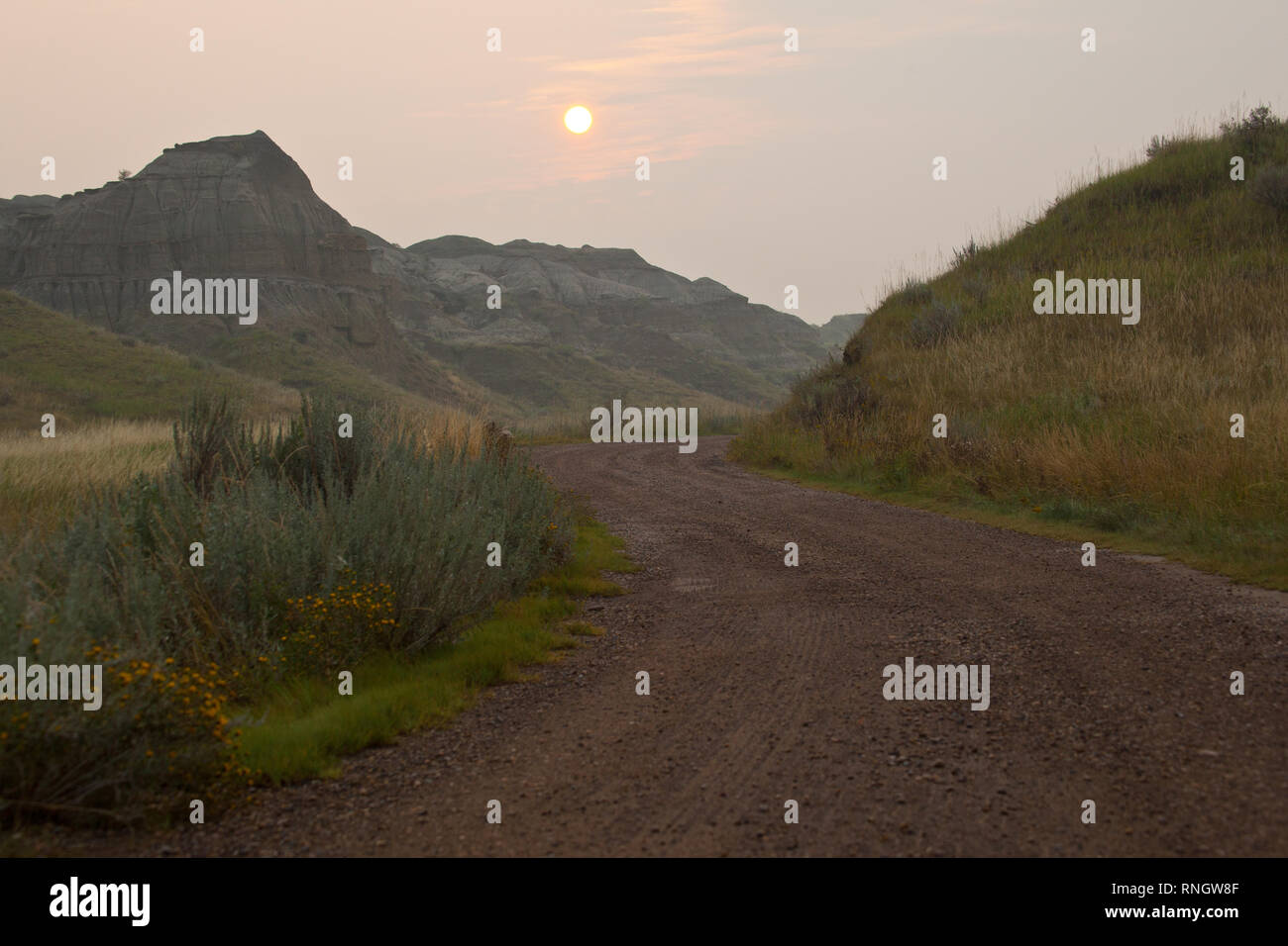 Dinosaur Provincial Park, Newell County, Alberta, Canada Stock Photo