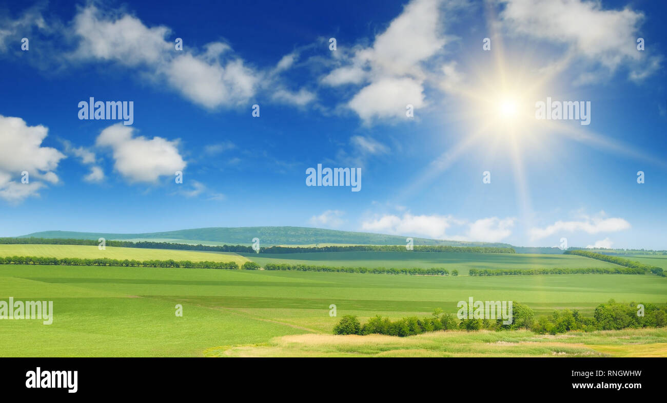 green field and sun on blue sky Stock Photo - Alamy